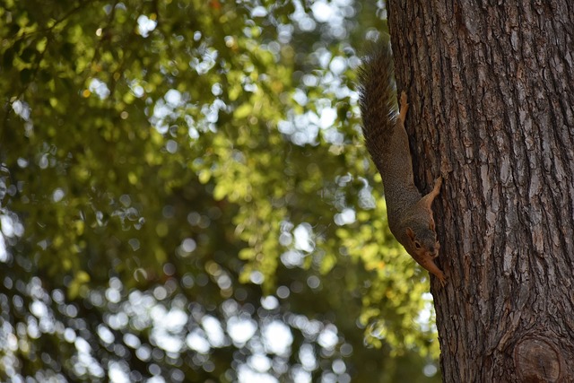 每一个环节 每一个环节