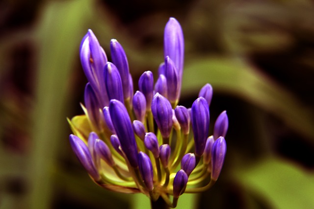 我们不难看 我们不难看